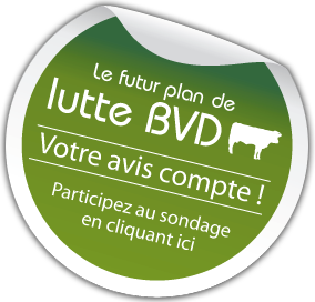 Plan de lutte BVD