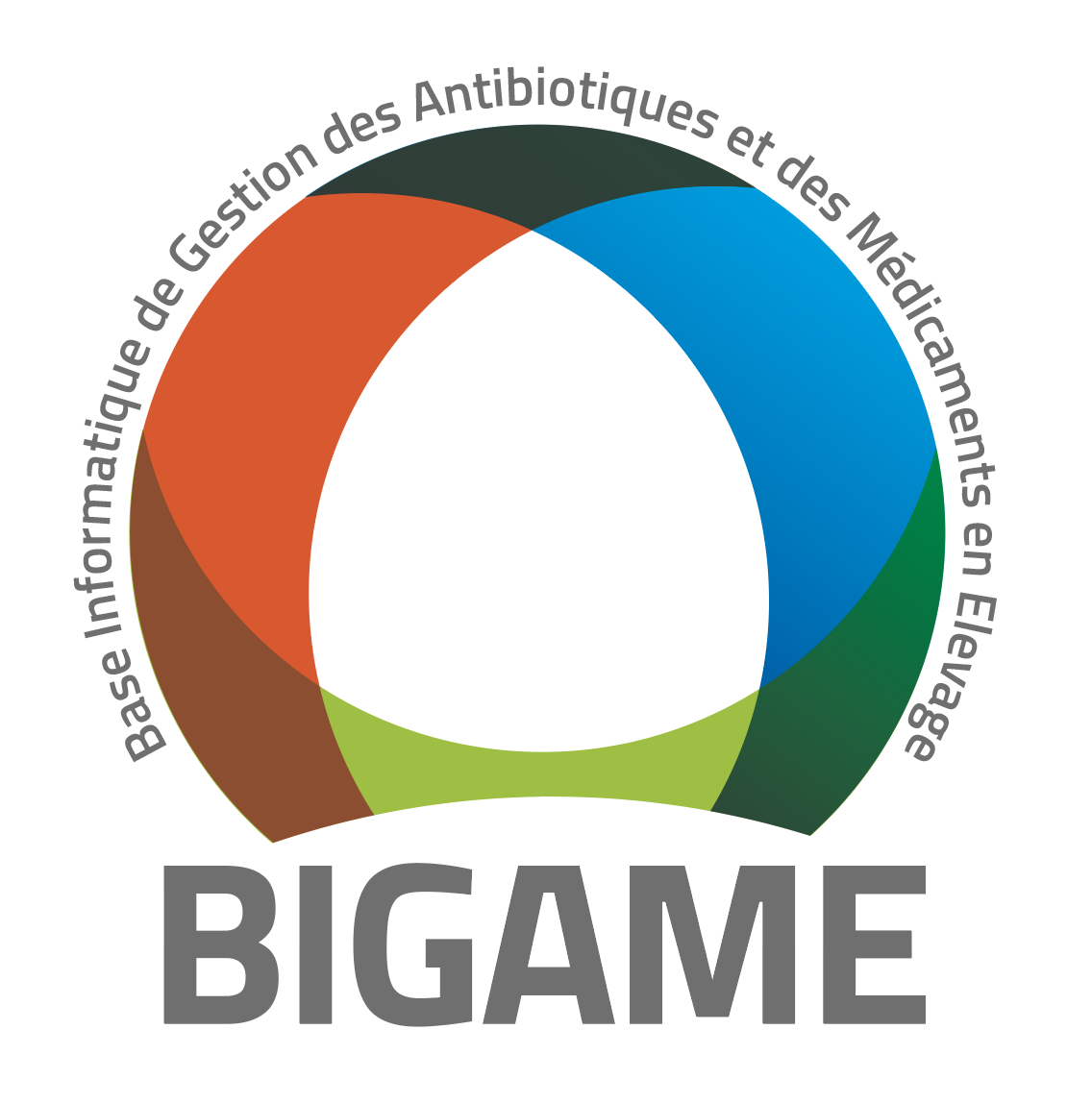 Logo bigame