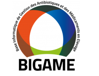 Bigame