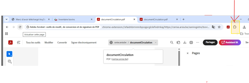 Screen procédure PDF Chrome